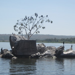 Pilings from the Bujagali Power Station diversion